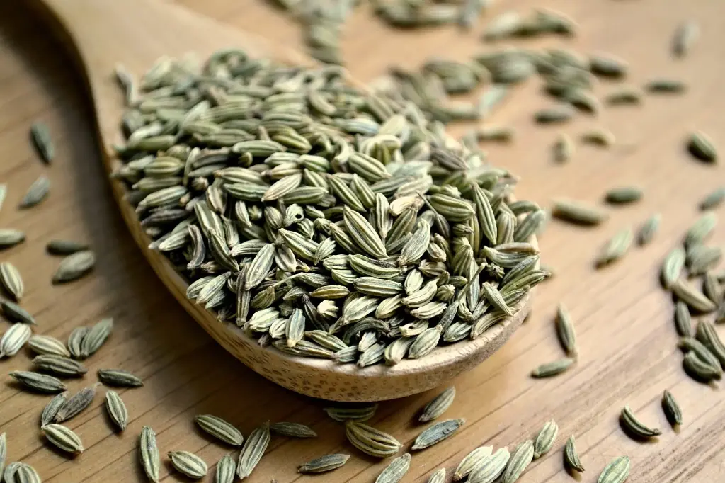 Fennel Seeds