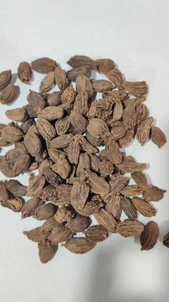 Black Cardamom