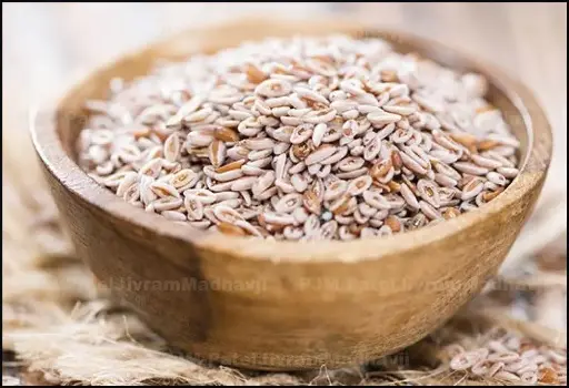 Psyllium Husk Seeds